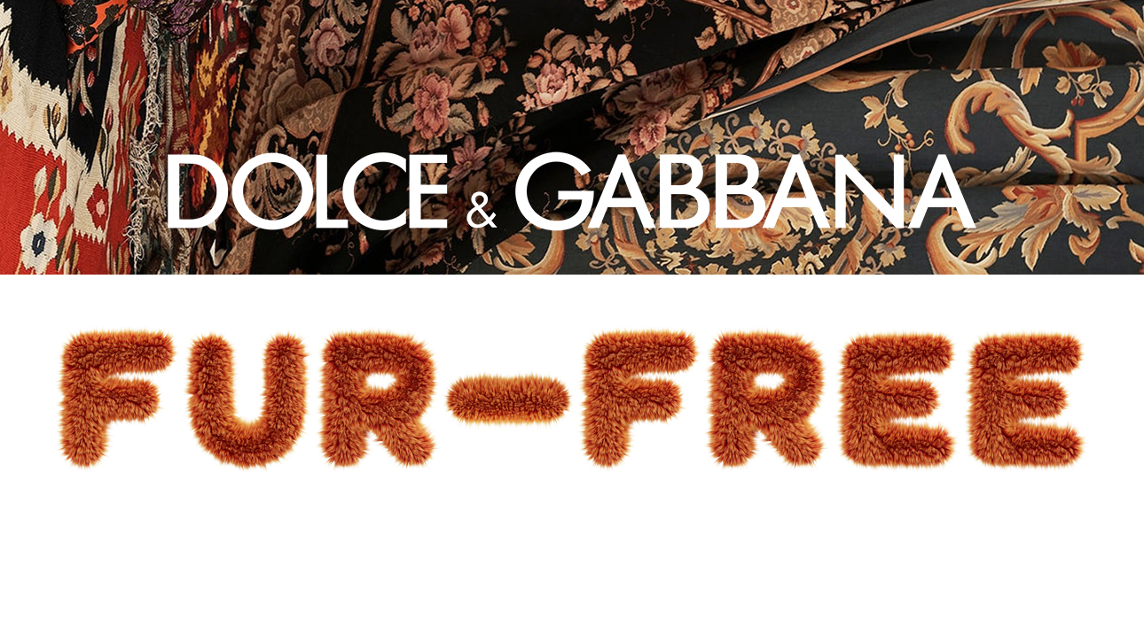 Eco Living: Dolce & Gabbana откажутся от натурального меха в своих коллекциях