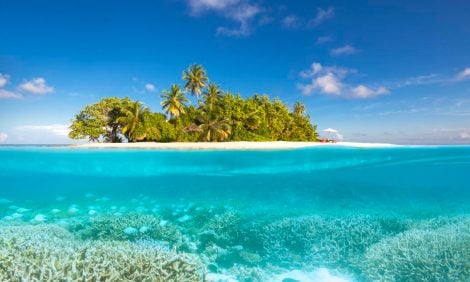 Новый год на&nbsp;Мальдивах: помогаем выбрать, на&nbsp;какой остров поехать