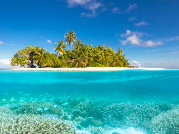 Новый год на&nbsp;Мальдивах: помогаем выбрать, на&nbsp;какой остров поехать