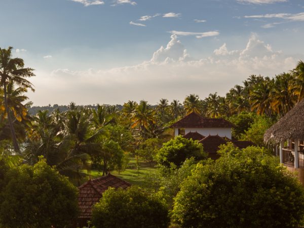 Health & Travel: восстановление организма в&nbsp;аюрведической клинике Kalari Rasayana в&nbsp;Индии