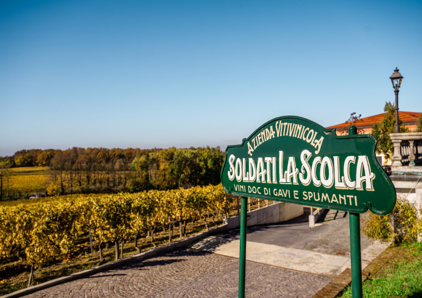 Винодельня La Scolca, основанная в 1919 семьей Сольдати