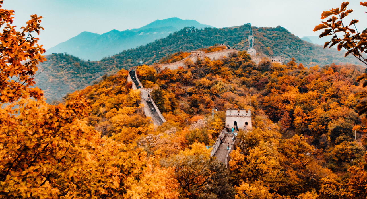 #TravelБизнес: как оформить визу в Китай самостоятельно — и не наделать ошибок