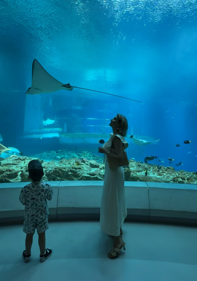 SeaWorld Abu Dhabi