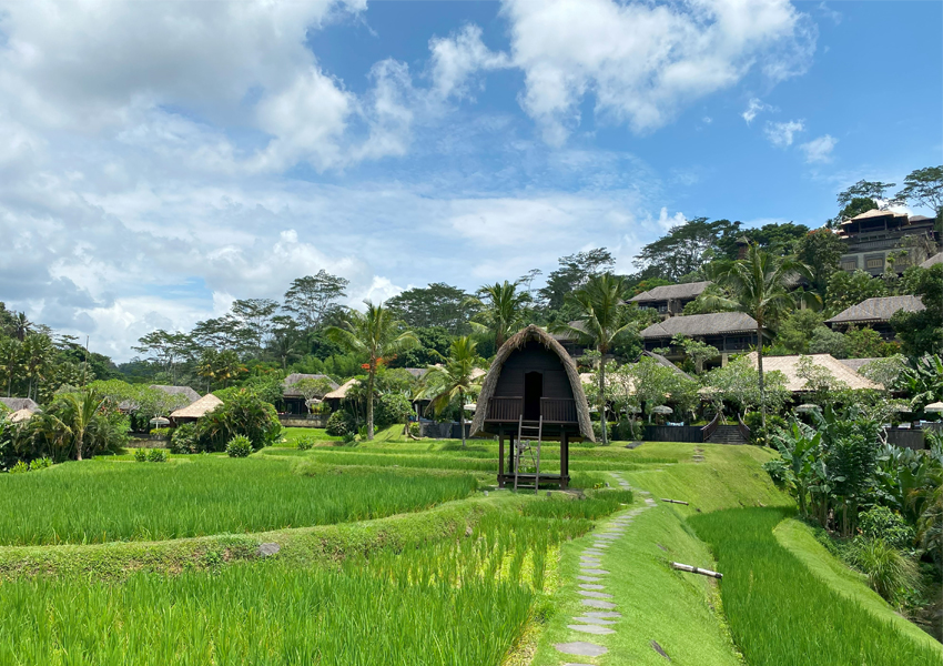 Отель Mandapa, a Ritz-Carlton Reserve