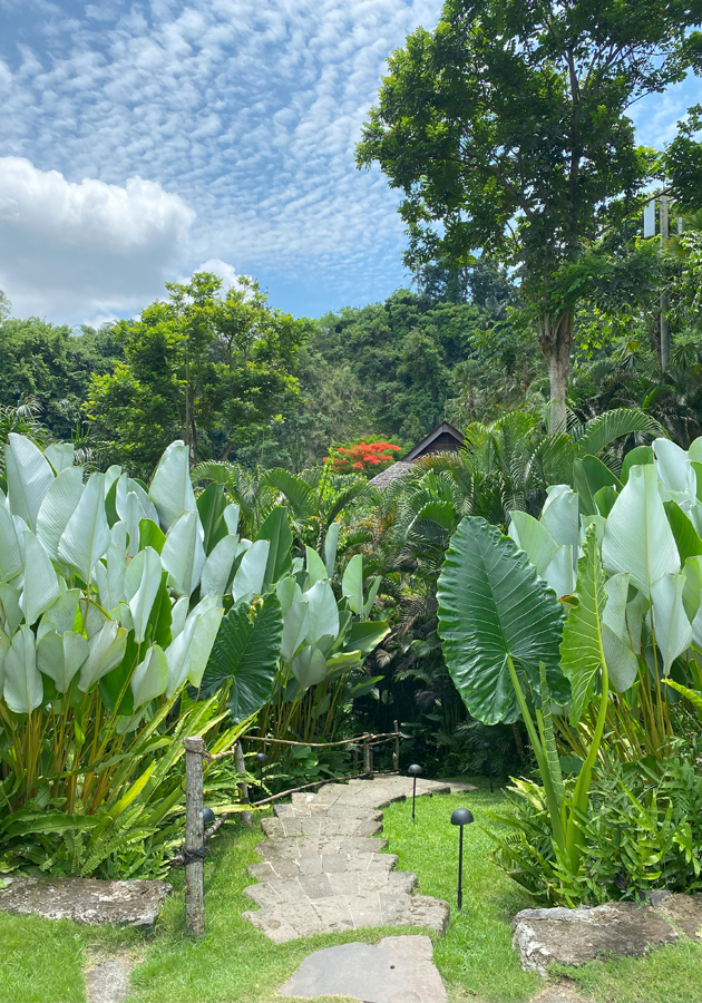 Отель Mandapa, a Ritz-Carlton Reserve