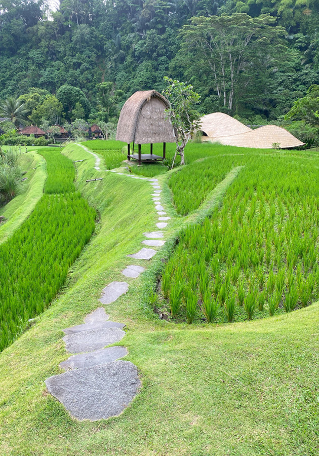 Отель Mandapa, a Ritz-Carlton Reserve