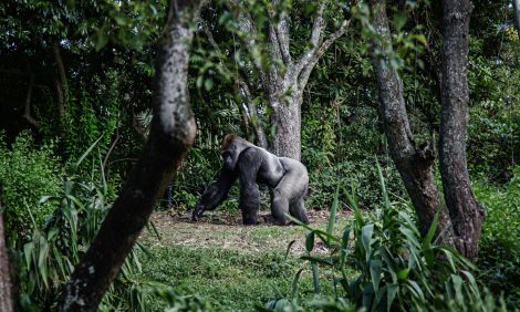 Travel Exclusive: уникальный тур African Mysteries, или Ходите взрослые в&nbsp;Африку гулять