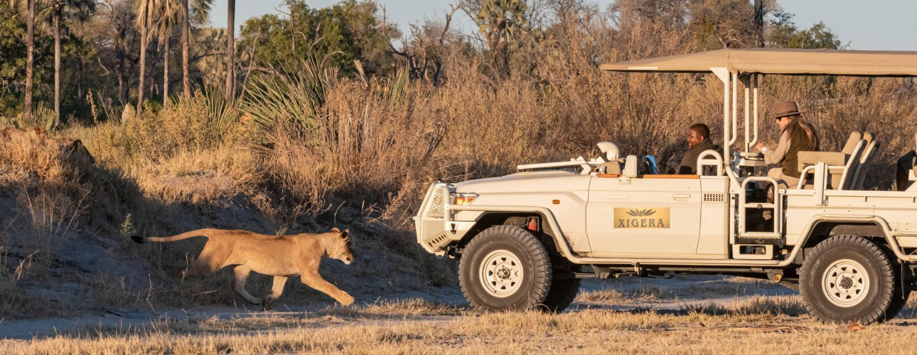 Travel Exclusive: уникальный тур African Mysteries, или Ходите взрослые в&nbsp;Африку гулять