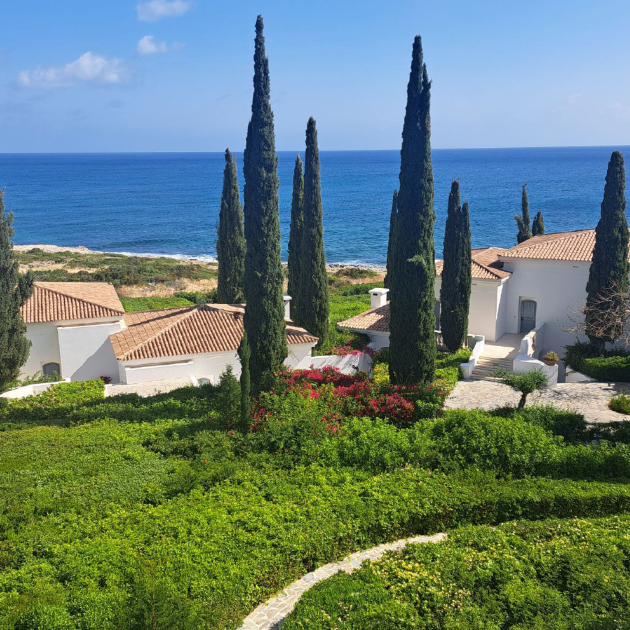 Anassa