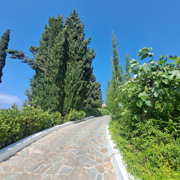 Anassa