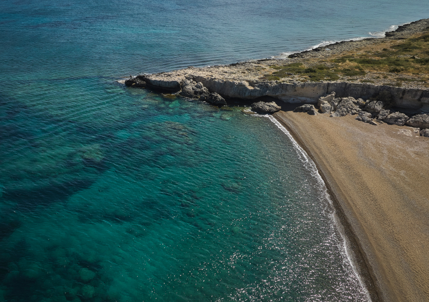 Anassa