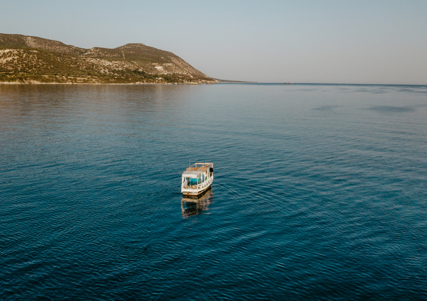 Anassa