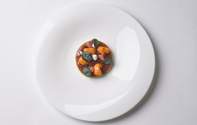 Фестиваль Sani Gourmet 2025