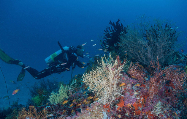 Milaidhoo (Мальдивы)