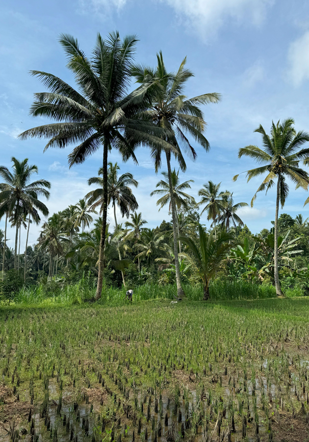 Anantara Bali Ubud