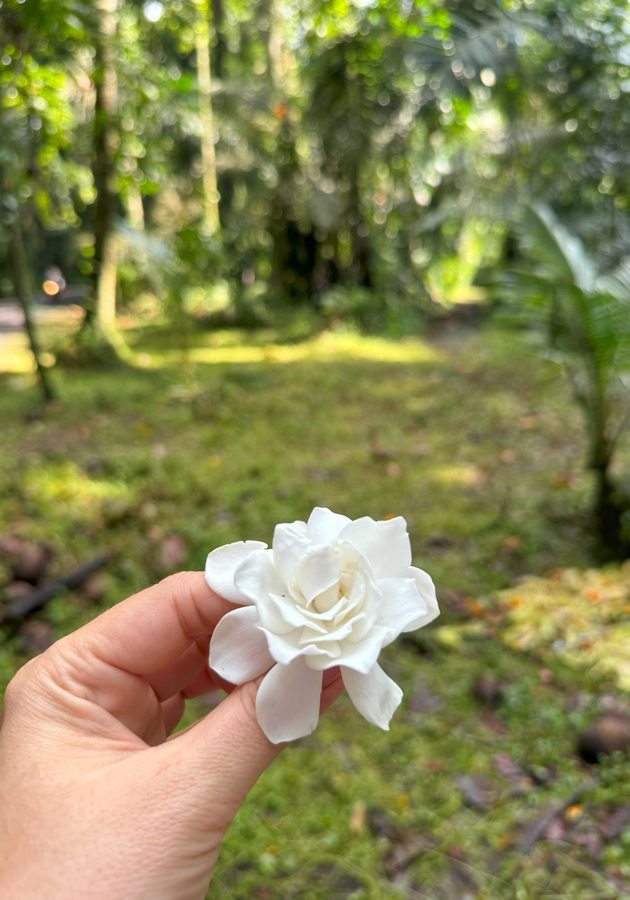 Anantara Bali Ubud