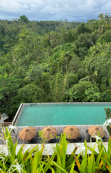 Идея на&nbsp;каникулы: Anantara Bali Ubud&nbsp;&mdash; вид на&nbsp;гору Агунг, спа в&nbsp;джунглях и&nbsp;глубокие медитации