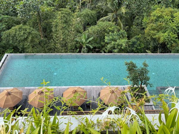 Идея на&nbsp;каникулы: Anantara Bali Ubud&nbsp;&mdash; вид на&nbsp;гору Агунг, спа в&nbsp;джунглях и&nbsp;глубокие медитации