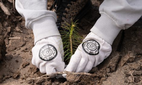 Хорошие новости: бренд Natura Siberica помог высадить шесть тысяч деревьев в&nbsp;Московской области