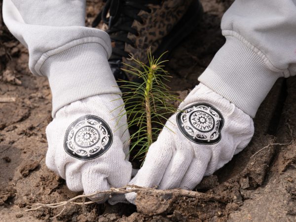 Хорошие новости: бренд Natura Siberica помог высадить шесть тысяч деревьев в&nbsp;Московской области