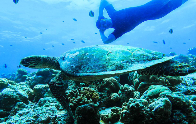 The Standard Huruvalhi Maldives (Мальдивы)