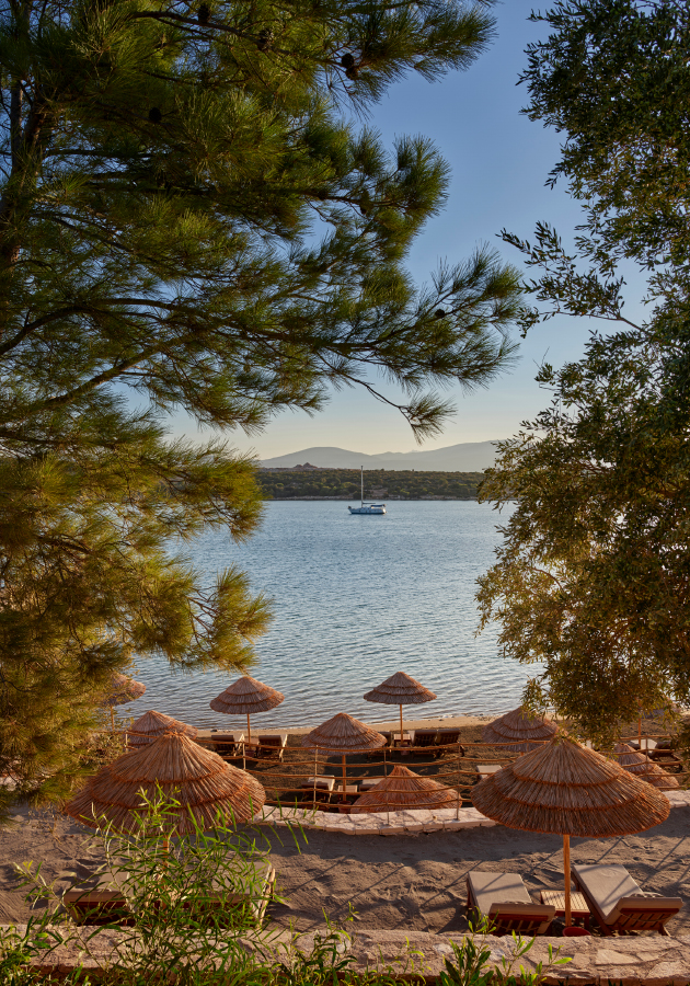 Anda Barut Collection (Турция)