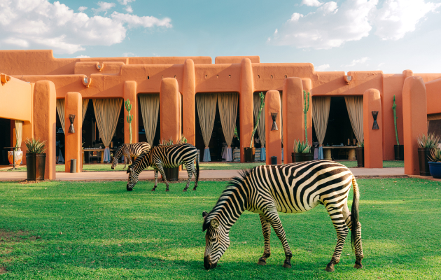 Avani Victoria Falls Resort (Замбия)
