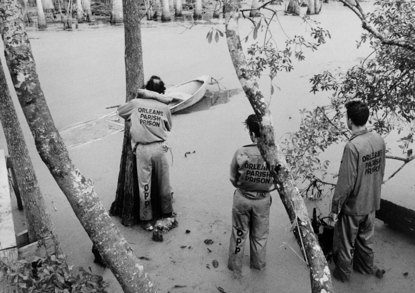 «Вне закона», 1986 год