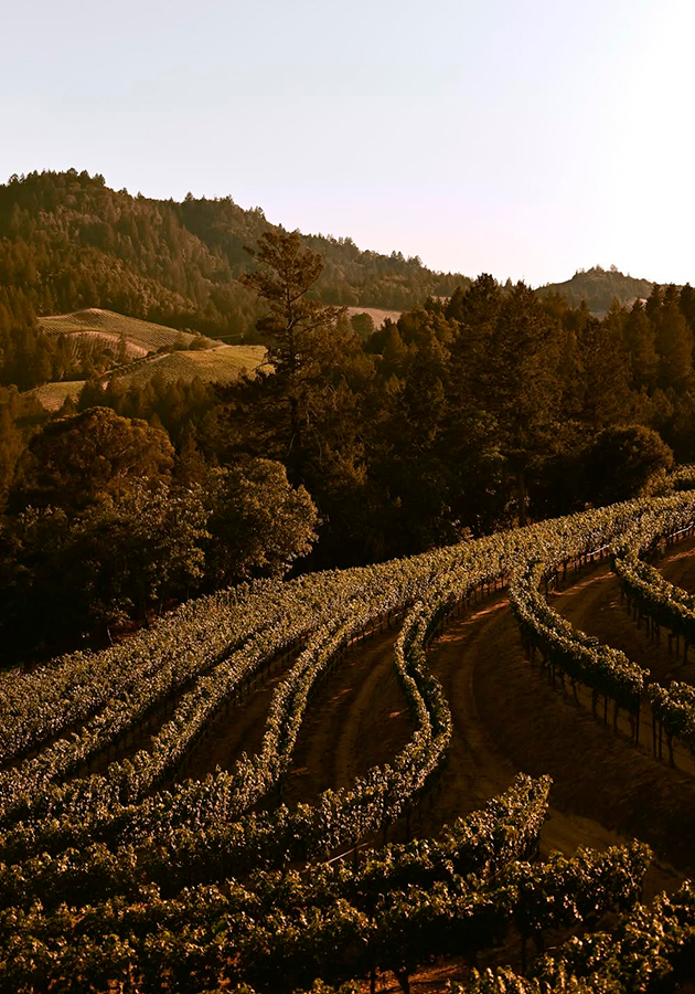 Rosewood to open Napa Valley hotel and residences