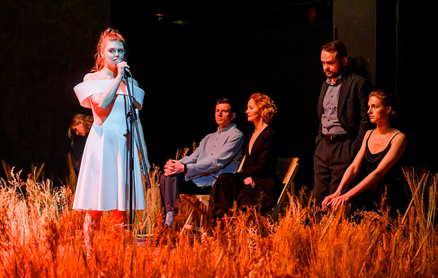 Спектакль «Чайка»