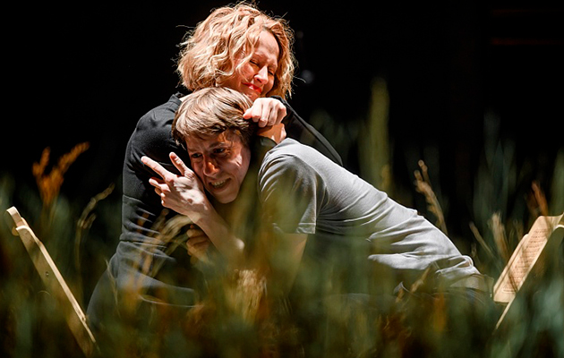 Спектакль «Чайка»