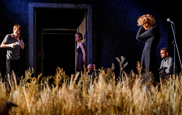 Спектакль «Чайка»