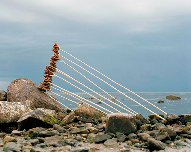 В галерее PENNLAB проходит (до 3 декабря) выставка «Скульптуры» Федора Тощева