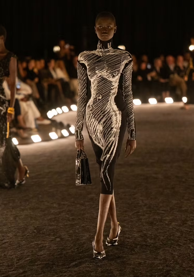 Шоу Schiaparelli