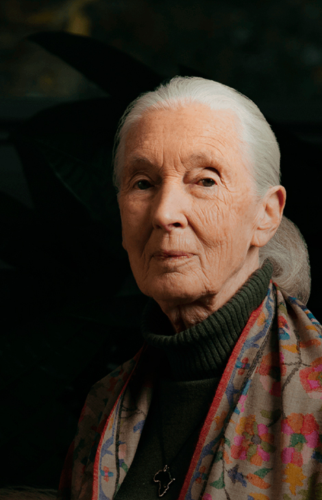 Women in&nbsp;Power: &laquo;Величайшая опасность для нашего будущего&nbsp;&mdash; безразличие&raquo;&nbsp;&mdash; ушла из&nbsp;жизни знаменитый приматолог Джейн Гудолл