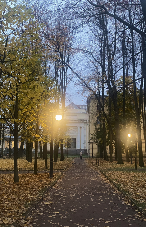 Питер Weekly: Бернардино Луини в&nbsp;Эрмитаже, юбилейный 105-й концертный сезон в&nbsp;филармонии и&nbsp;новое кафе &laquo;Документалист&raquo;