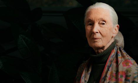 Women in&nbsp;Power: &laquo;Величайшая опасность для нашего будущего&nbsp;&mdash; безразличие&raquo;&nbsp;&mdash; ушла из&nbsp;жизни знаменитый приматолог Джейн Гудолл