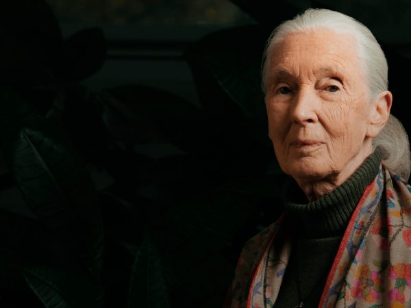 Women in&nbsp;Power: &laquo;Величайшая опасность для нашего будущего&nbsp;&mdash; безразличие&raquo;&nbsp;&mdash; ушла из&nbsp;жизни знаменитый приматолог Джейн Гудолл