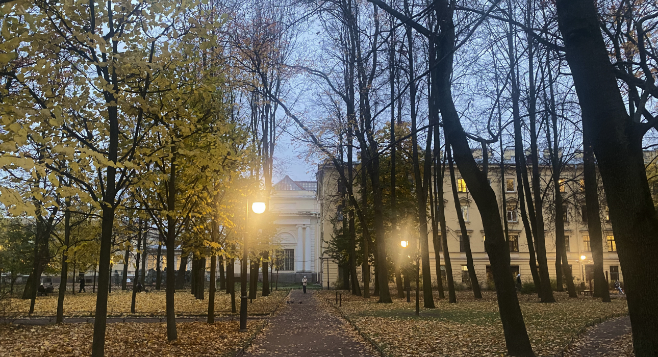 Питер Weekly: Бернардино Луини в Эрмитаже, юбилейный 105-й концертный сезон в филармонии и новое кафе «Документалист»