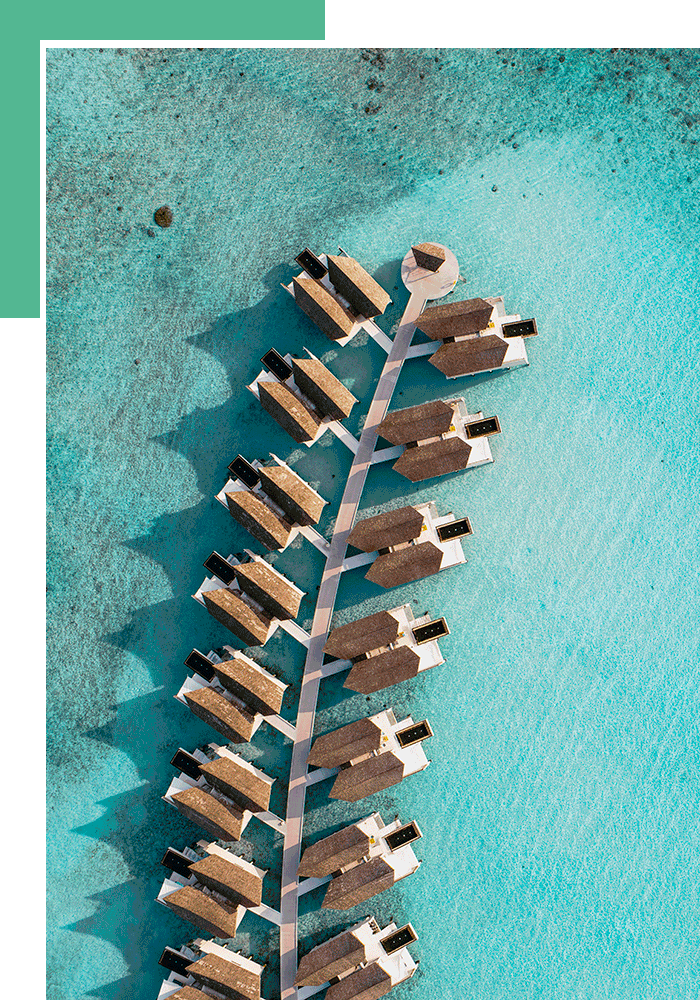 Коллаборация салонов красоты «МильФей» и отеля Kuredhivaru Resort & Spa Maldives