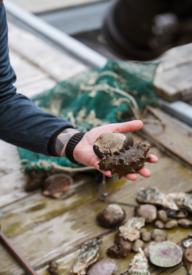 Ужин Uliss Asia — вторая часть гастрономического проекта «Родные маршруты»