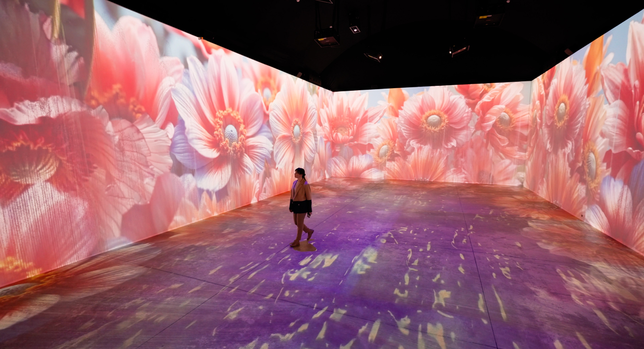 Выставка «Гибридные хроники»