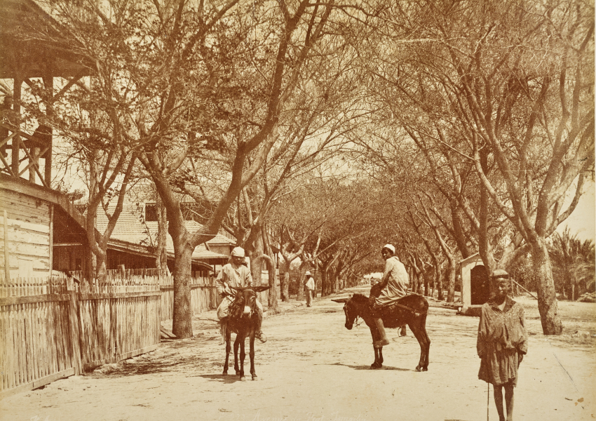 И. Арну. Египет. Уличная сценка в городе Исмаилия. 1880-е