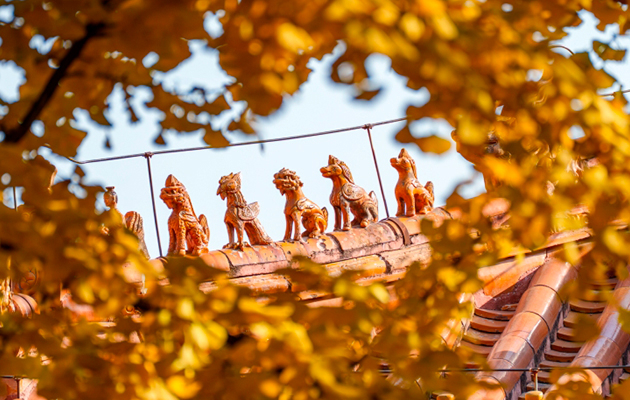 В Пекине, в Запретном городе, открыли для посетителей Сад Цяньлун, который последние 25 лет был закрыт на реставрацию