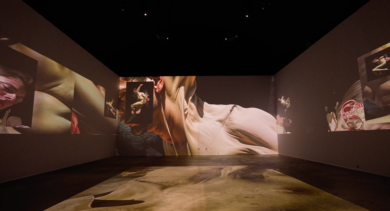 Выставка «Гибридные хроники»