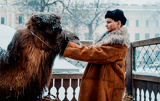 Трейлер фильма «Красавица»