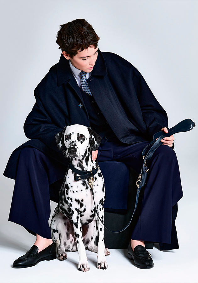 Giorgio Armani представил технологичную коллекцию аксессуаров для собак