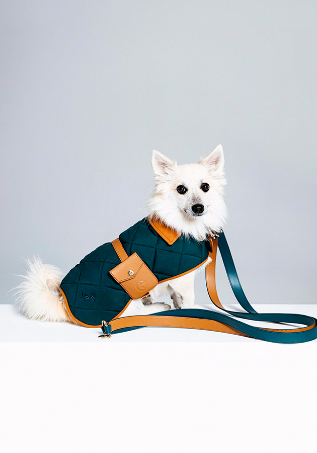 Giorgio Armani представил технологичную коллекцию аксессуаров для собак