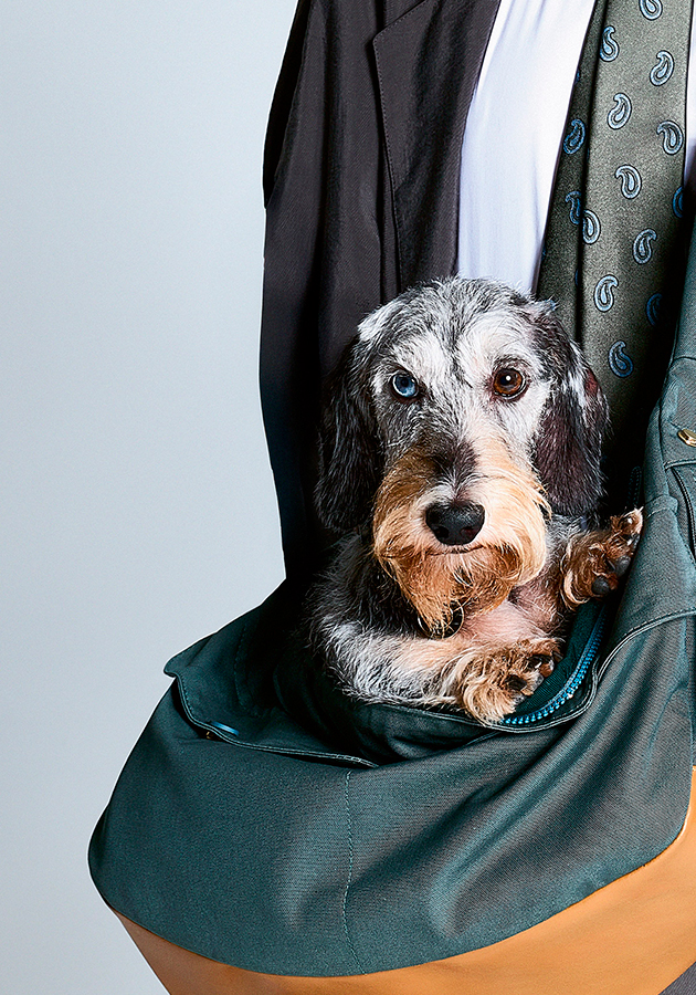 Giorgio Armani представил технологичную коллекцию аксессуаров для собак