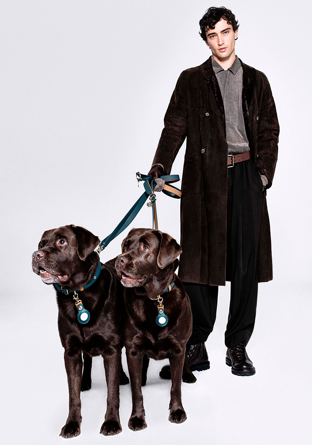 Giorgio Armani представил технологичную коллекцию аксессуаров для собак